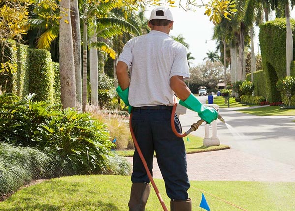 About Eden Valley MN Pest Control Pros